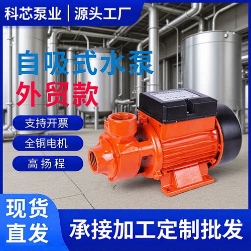 全铜自吸离心增压泵高扬程220V
