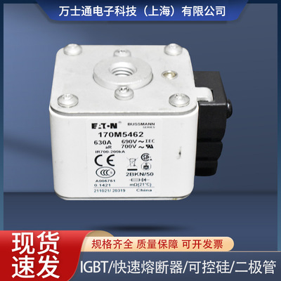 170M5458-170M5463熔断器