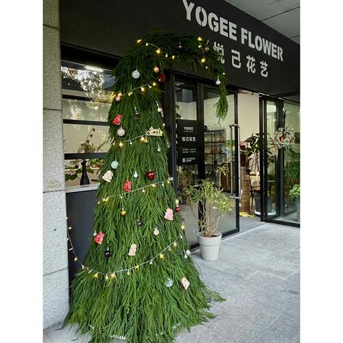 圣诞节景氛ZUU围感布置花艺店商用色门头松柏绿场叶装饰树材料挂