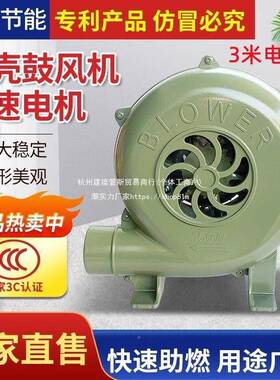 鼓风机小220型WTLV家烧火猛火灶吹风烧烤助燃功柴火炉大用率