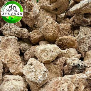 黄色吸水原石精品吸水石石假盆造景山石微观509石头摆件景观景石