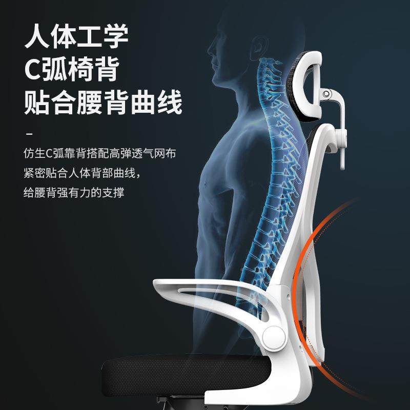 电脑椅家用公学生见详情宿舍升降转椅座人体工学椅职员椅椅靠背电