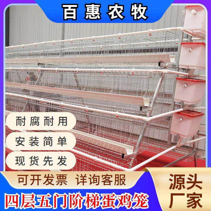 养殖场用阶梯式四层五门白槽蛋鸡笼设备热镀锌养鸡设备厂家直销售,畜牧/养殖物资,特种养殖设备,淘宝优惠券,粉丝福利购,淘宝优惠卷