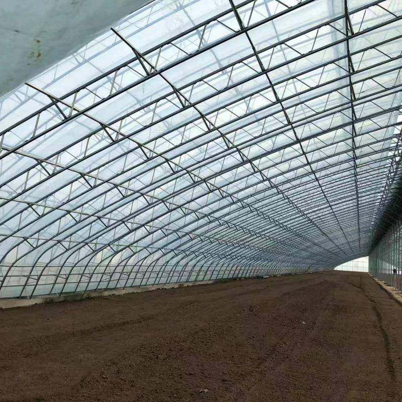 连栋日光薄膜温室采光好骨架稳定农业种植温室大棚薄膜温室,畜牧/养殖物资,特种养殖设备,淘宝优惠券,粉丝福利购,淘宝优惠卷