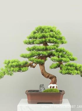 新中式仿真迎38548客盆摆件崖柏栽客厅假树植物松酒店装饰盆玄景
