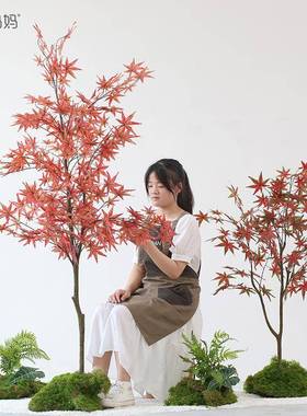 以法莲景日式风真绿植盆栽大51817型造枫室树盆景内落地橱窗仿方