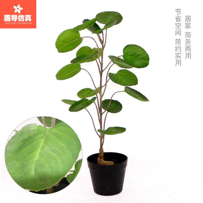 绿色桐福仿真榄绿植橄树号植物树盆栽盆室174内落地橱景窗大装饰