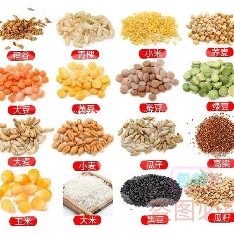 小型风车机选家谷粮OQR风车用电清理机稻谷电动玉米吹风机风食物