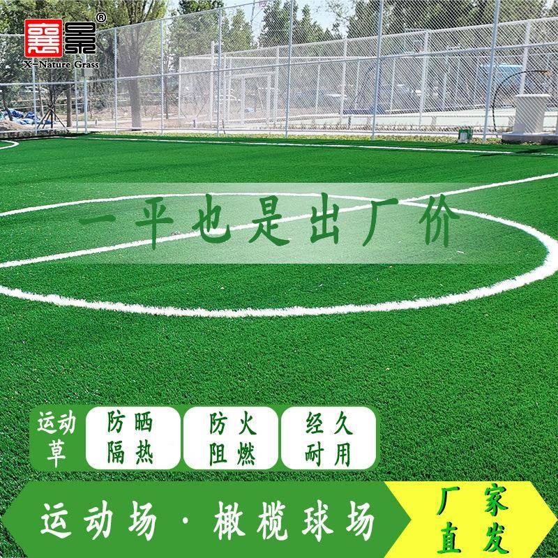 景学仿真运动草坪户DJK50外校皮操场足球场人造假草草橄榄球襄场