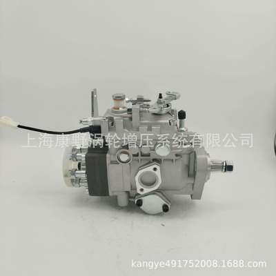 喷油泵104661-3031 32B65-10130和104642-7611 129919-51500