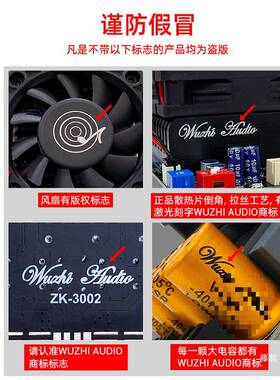 3002纯后IZB级数字功放板大T功率PA道3255立体声接300WX2桥单声60