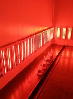 工SZP业高温喷塑房套喷塑设备升温静电烤喷涂塑全固化房高粉温喷