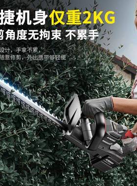 BJA德国用艾锐电动便携式绿篱修剪机专园机林工具专用新款小型盾