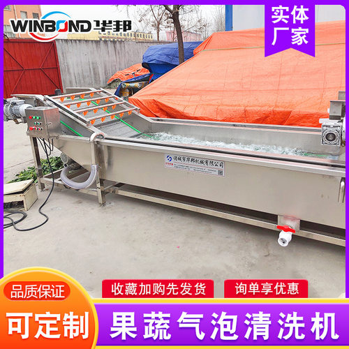 厂家供应 西葫芦果蔬清洗机 不锈钢清洗流水线 艾叶气泡清洗设备