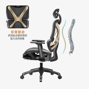 永艺撑腰椅XY人体工学椅电脑椅久坐舒服电竞椅子家用转椅办公座椅