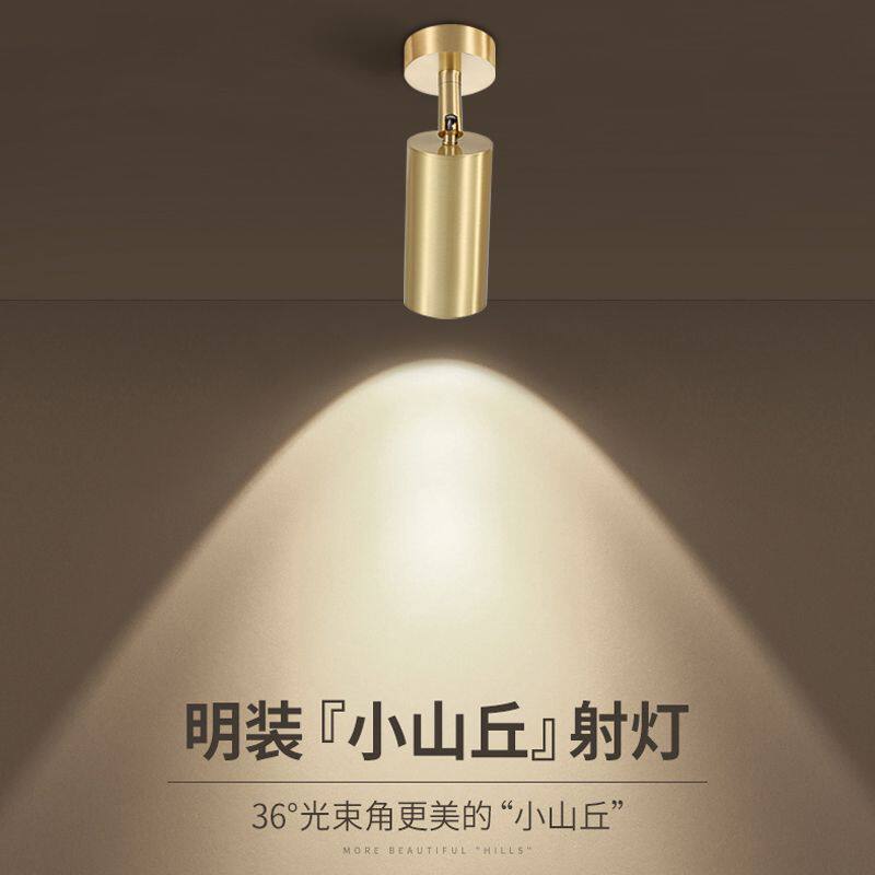 全铜明装射灯小山丘可调角度家用背景墙可调节嵌入式金色洗墙射灯