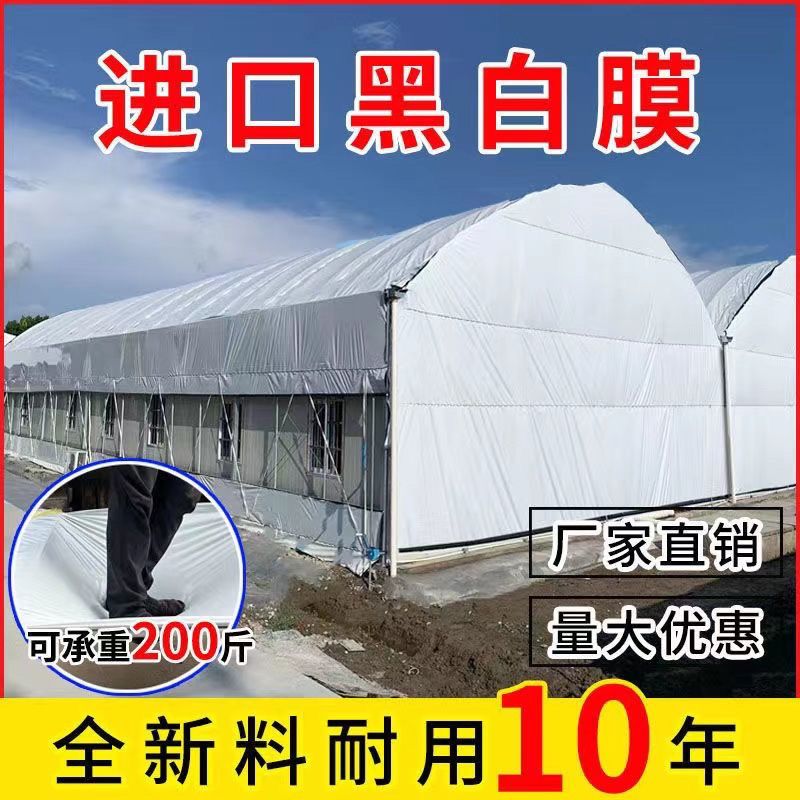 进口黑白膜加厚养殖食用菌反光大棚膜遮阳降温防晒隔热膜塑料布黑