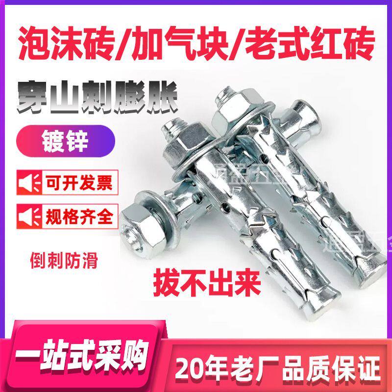 国标带钩膨胀螺丝穿山刺加长膨胀螺栓泡沫砖加气块老式红砖专用