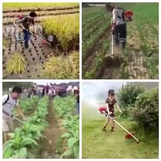 厂家代发恒雅139汽油小麦割草机140微型农用多功能除草松土机水稻