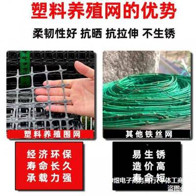 栅塑料围网用养殖防护拦网鸡鸭胶家菜园玉米ISX护栏栏户外养鸡围