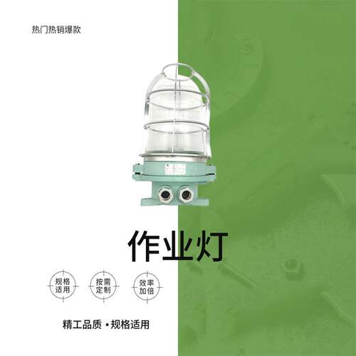作业灯IMPA 792062 户外船用 DS7-4M船用作业灯 海事照明船用灯具
