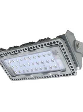 DSFG-937 LED投光灯 LED泛光灯100W