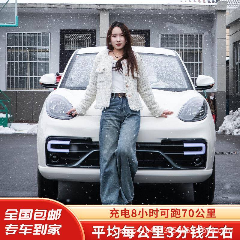 帕美电动四轮车代步家用成人女士老头乐锂电池油电两用轿汽车