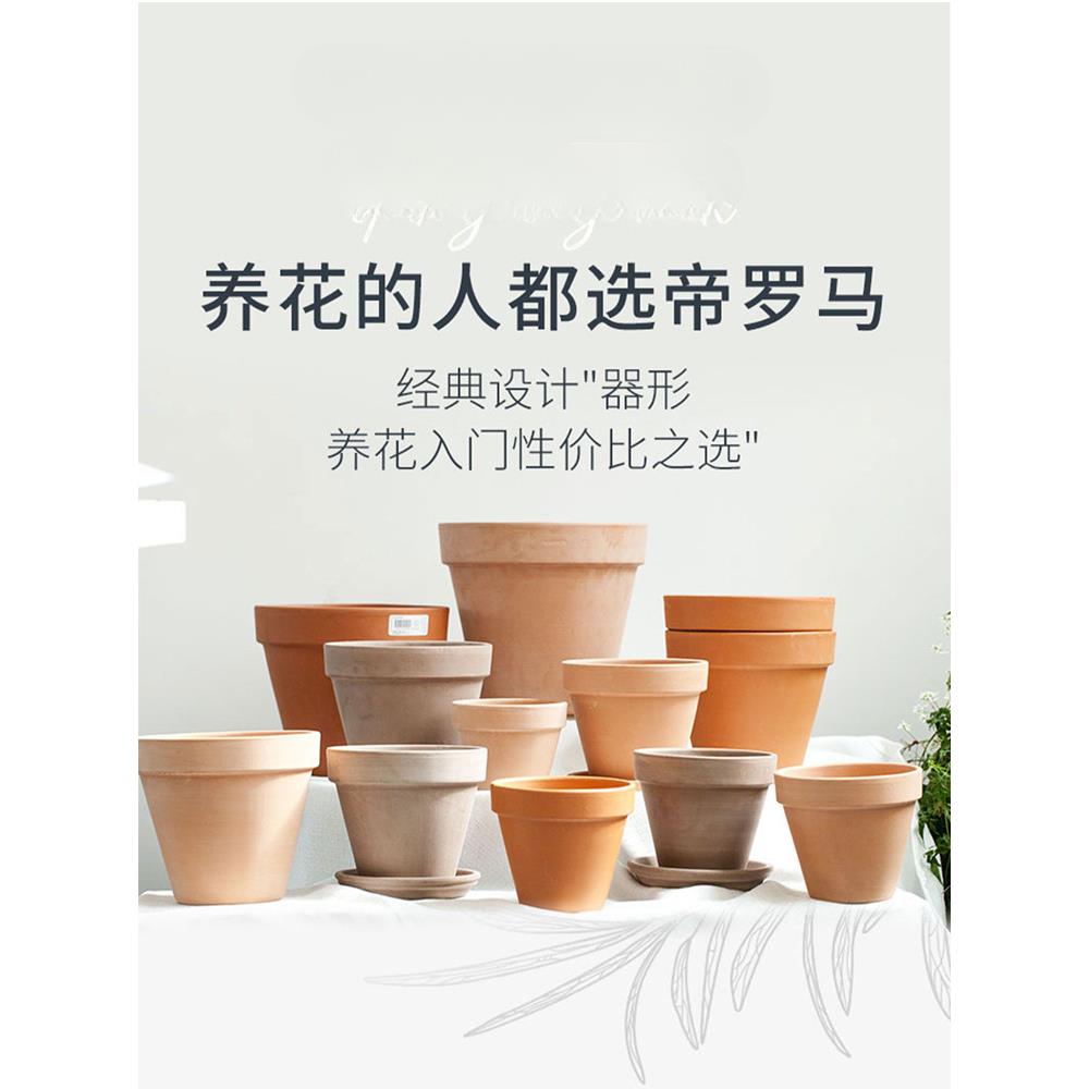 帝罗马盆玫瑰盆葡萄盆经典宽边白陶花盆种植盆红陶简约