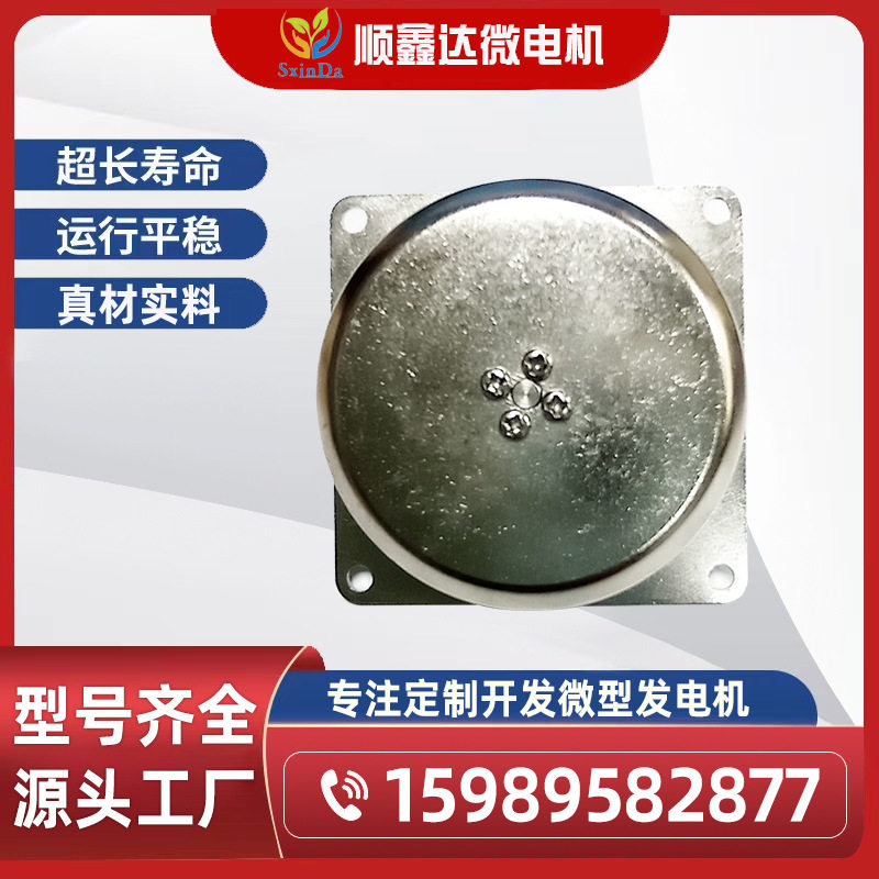 100W发电机/微型发电机健身器材/脚踩发电机