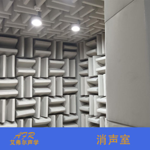 艾弗尔声学消声室汽车噪音测试