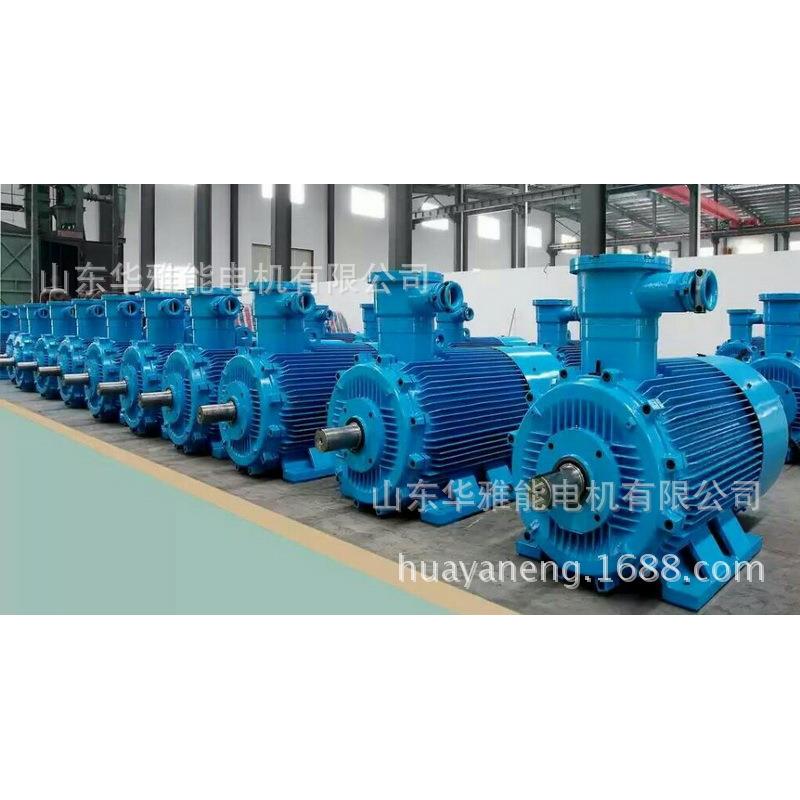 YE3VP35L1B-2-1851KW替代JPW淮六安YBP电机整江机及端盖风罩风叶