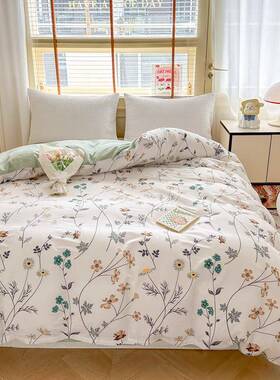 四季款全棉单件被小清新双人ALC套纯棉单品罩200*2单30被家用被水