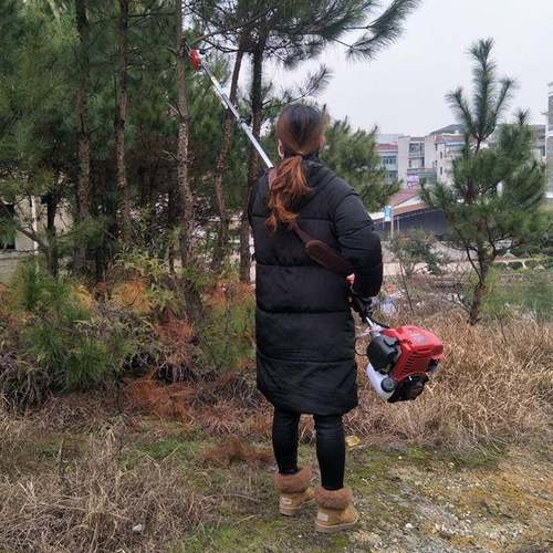 枝油锯高枝锯果树修枝RHE锯割草机高汽油高修树高空锯高枝油枝汽