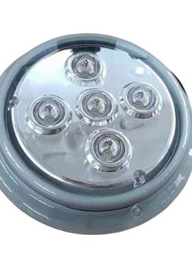 NFC9173低顶灯车厢LED顶灯15W