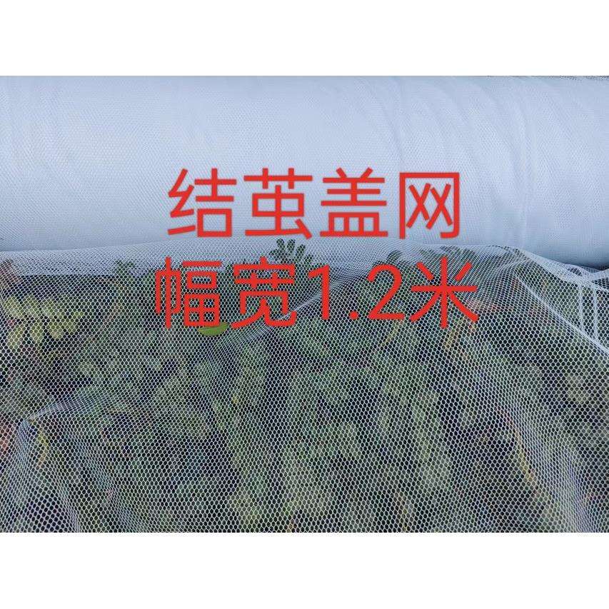 结茧盖网10公斤幅宽1.2米上簇网养蚕用具品
