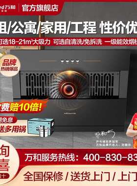 万和J320A抽油烟机大吸力侧吸式免拆洗家用厨房吸油节能租房