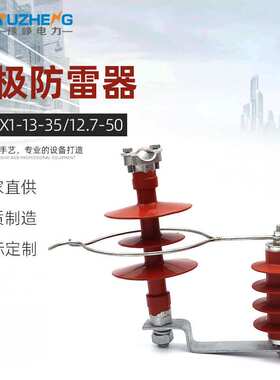 YH5CX1-13/35 12.7/50 HY5CX1-17/50电极防雷器 带金属环避