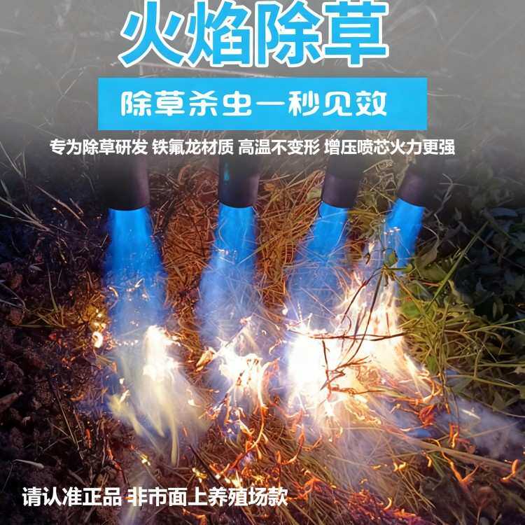 火焰除草机液化气除草喷枪多头单头手持农用喷火烧草枪烧地