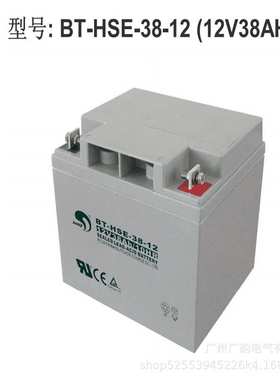 赛特蓄电池12V38AH 赛特BT-HSE-38-12 UPS/EPS 直流屏 通讯系统