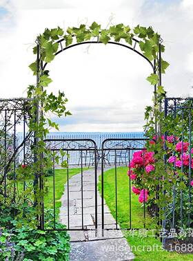 铁艺拱门形爬藤架外爬庭院拱带门铁PEC线莲月季攀爬架户攀架