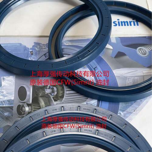 C德国Simrit/FREUDE-NBERG科德宝恩福539油封ZCFWBAUM6SL130-1601