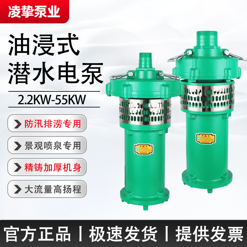 QY油浸式潜水泵园林喷泉灌溉
