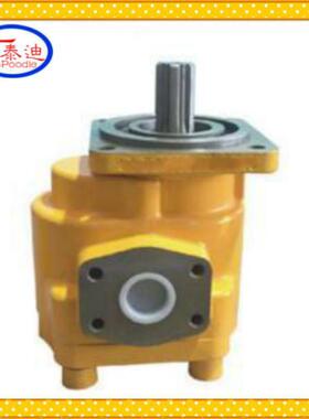 JHP31160齿轮泵左6矩：临工953装载机工作HYB泵物料号420007115