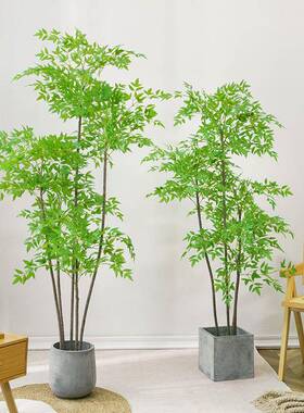 仿真盆栽植物绿南天厅竹落地仿生植摆件客沙景发边家居装kbC5txJ6
