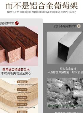 腐葡萄子庭木院长廊户外院子爬藤架室外亭子别墅凉亭花F97S865T园