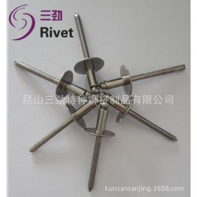 不钢大帽铆钉全FMT锈钢帽拉钉304酒大帽檐盒大抽芯铆钉大帽檐拉铆