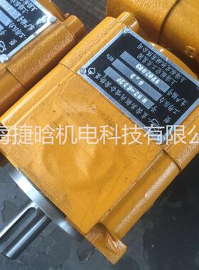 上海航发航空工业 JY精益液压泵 NB5-C250F 大流量内啮合齿轮泵
