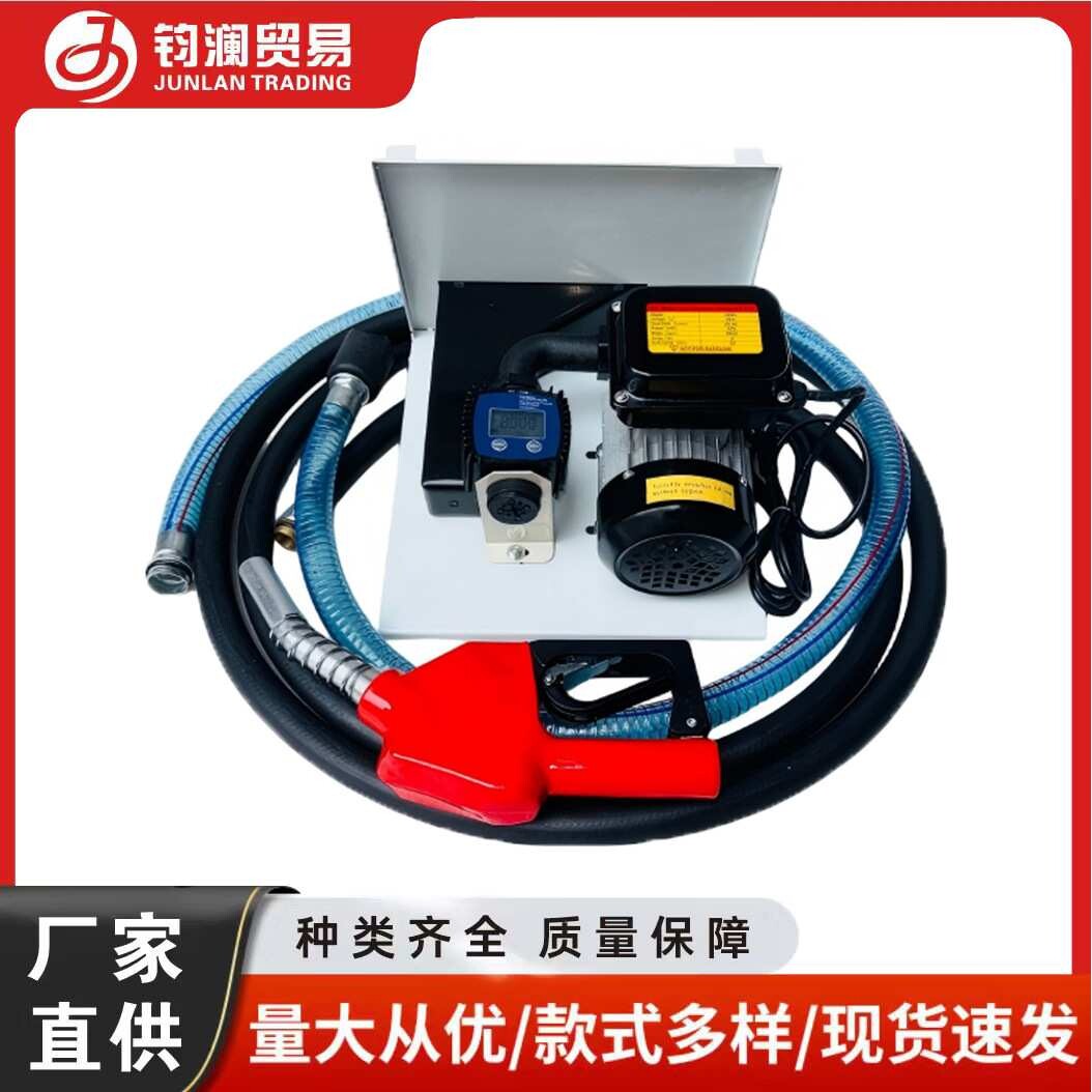 YB85加油泵220v12v 化工泵 海水泵 挠性