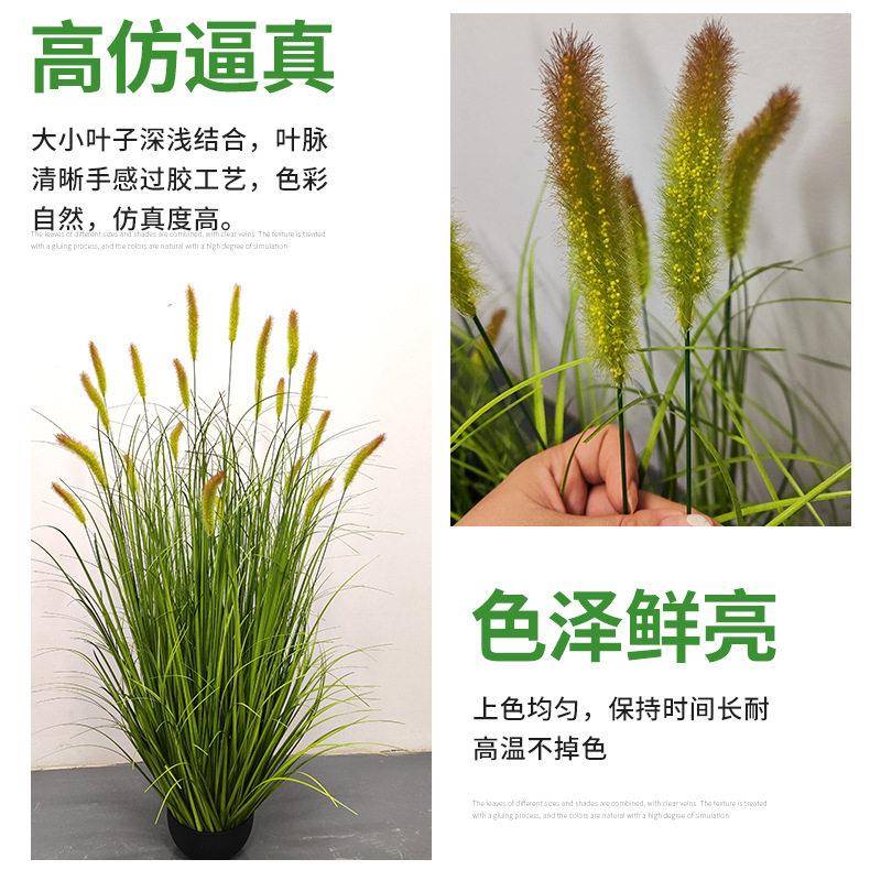 仿真猫尾巴草芦仿真绿植狗苇尾草仿真盆居栽家拍摄巴婚礼婚庆咨询
