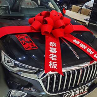 车蝴蝶大195结汽车提车展装饰展厅布置车新交车仪式用品展蝴蝶结